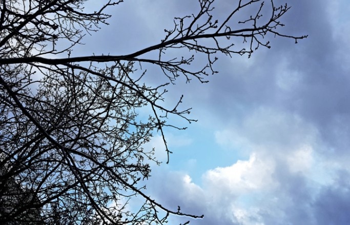 Днес преди обяд на много места в равнината част от