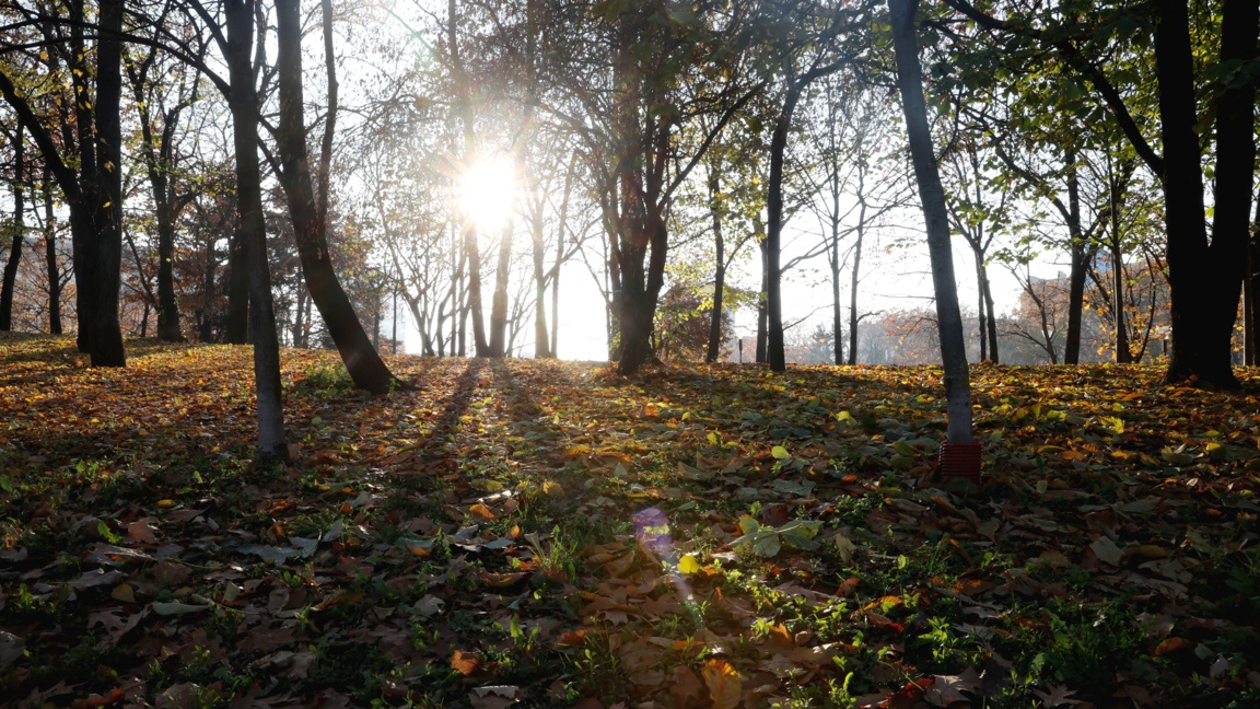 Сутринта в Дунавската равнина и на места в котловините ще