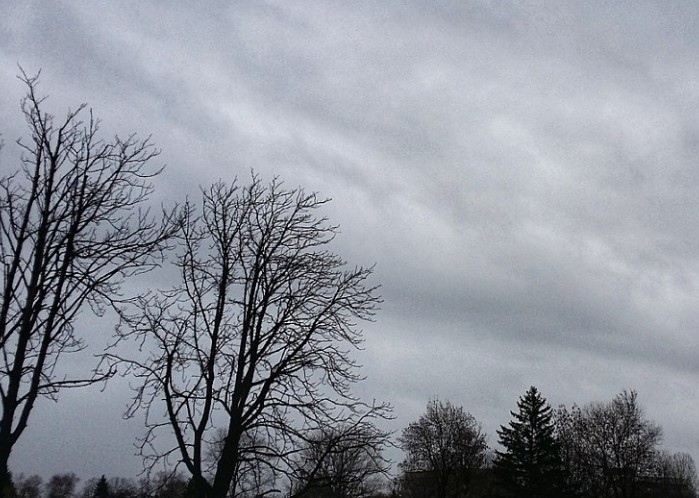 Днес до обяд на много места в равнините и низините