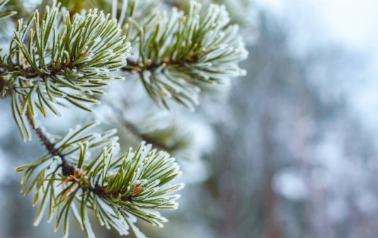 Днес ще преобладава слънчево време над източните и планинските райони