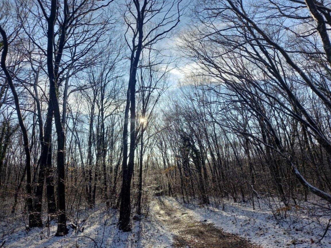 През нощта на отделни места в югозападните и северните райони