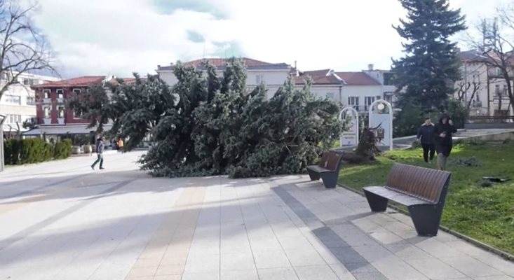 След ураганния вятър който вилня цяла нощ във Враца градът