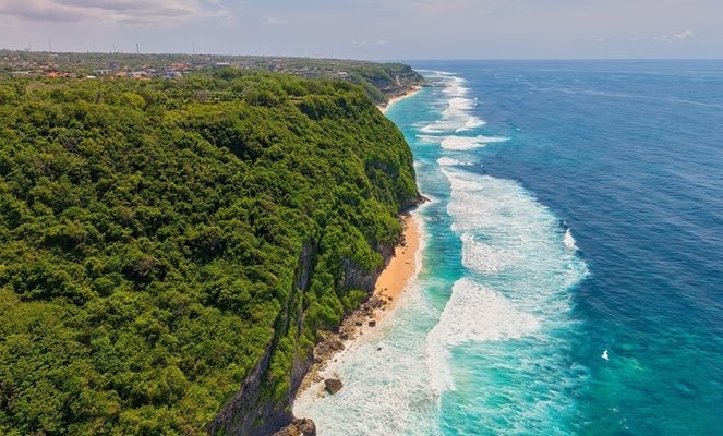 Японски учени от Университета в Кобе измислиха как да превърнат