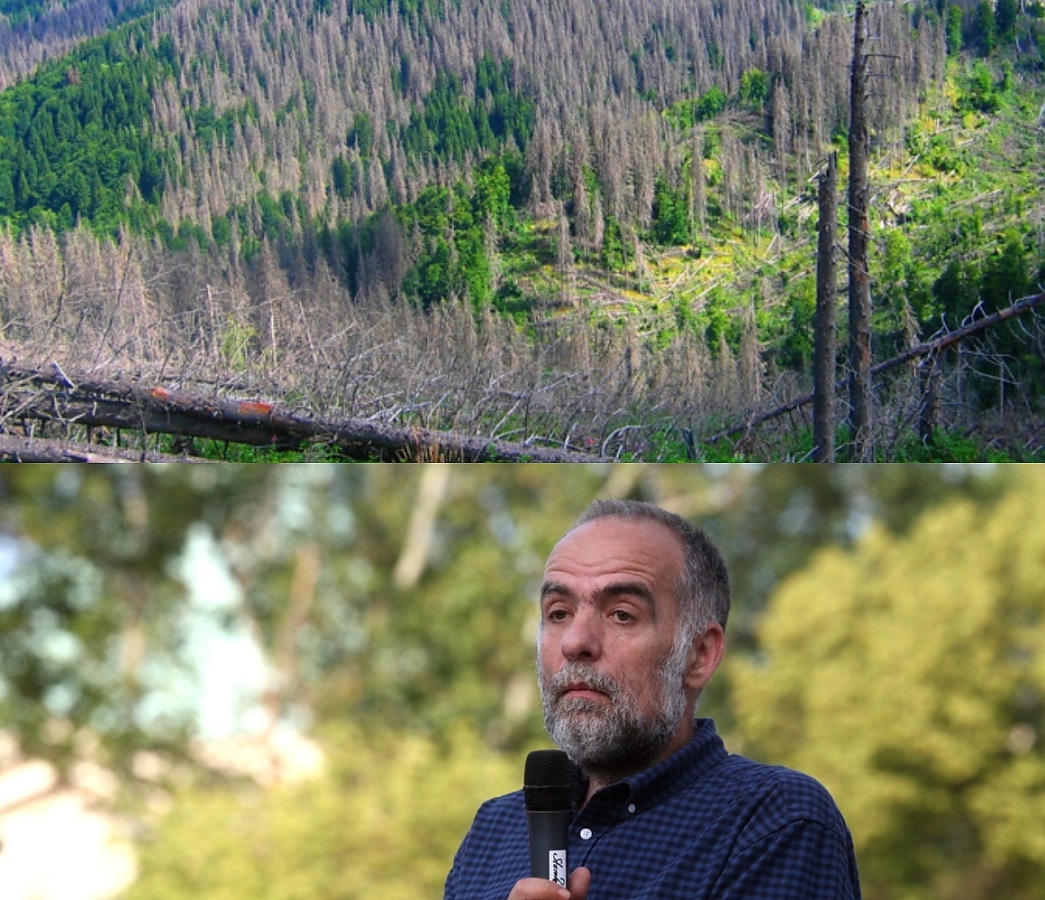 Докато в България горите не започнат да се управляват не