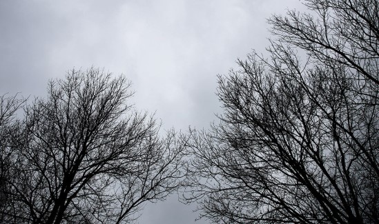 Днес ще бъде облачно с валежи от дъжд В сутрешните