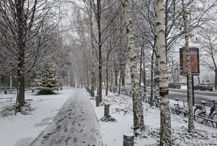 Днес в Северна България и планинските райони снеговалежите ще продължат