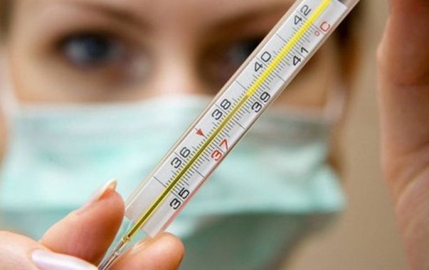 Грипът обхвана още една област у нас  Пловдив обяви грипна епидемия