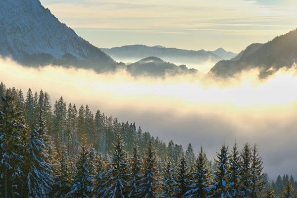 Днес сутринта на отделни места в котловините и низините ще