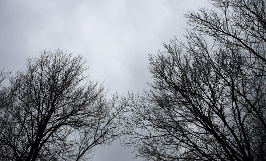 Днес ще бъде предимно облачно и на места ще има