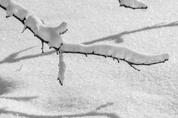 Днес синоптичната обстановка ще остане усложнена Снеговалежите ще са повсеместни