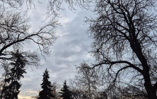 Днес времето в страната ще бъде предимно облачно на места