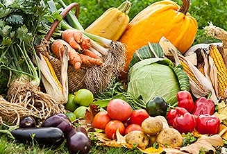 Ресорната парламентарна комисия преди броени дни прие единодушно на първо