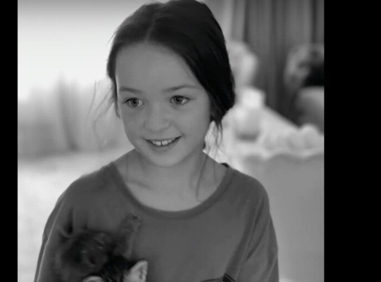 В Окръжния съд в Плевен днес продължава заседанието по делото