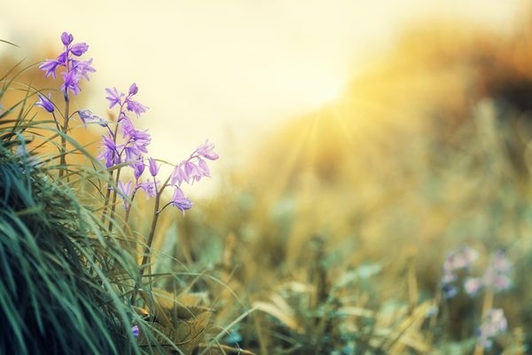 Днес ще бъде предимно слънчево В сутрешните часове на места