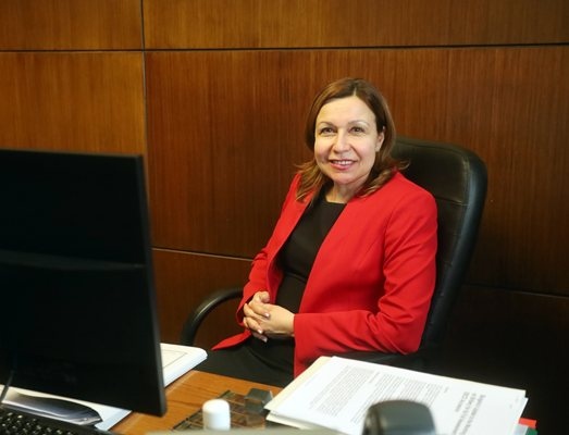 Светослав Василев  завеждащ отдел Киберпрестъпления в Националната следствена служба и Рая