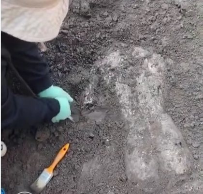 Новооткритият мраморен торс при археологическите разкопки в античния град Хераклея